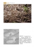 刘振炎《新会风•陈皮韵》摄影作品欣赏(29)_在线影展的作品